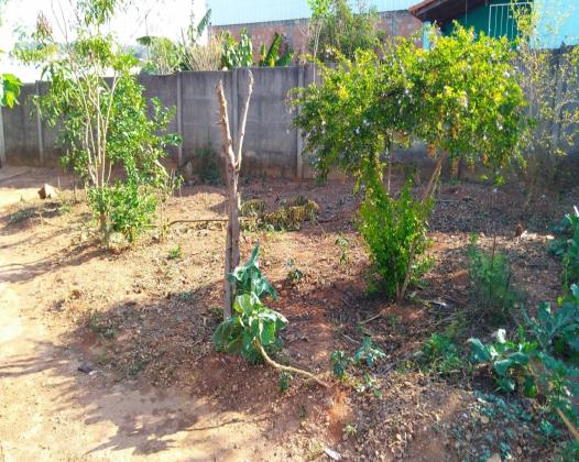 Casa à venda com 1 dormitórios em Cidade nova ii, Juatuba cod:J0729 - Foto 6