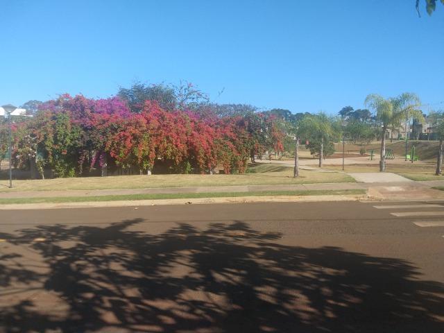 Ótimos Terrenos Cond. Bella Vitta - Foto 13