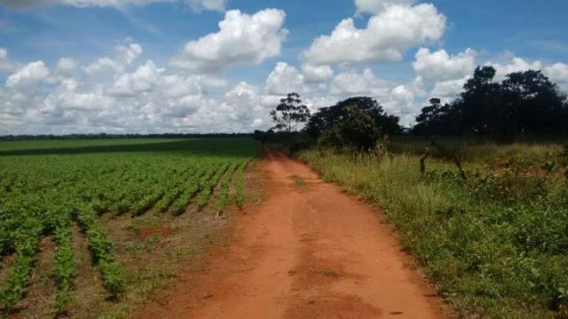 Sítio para venda em batatais, rural - Foto 6