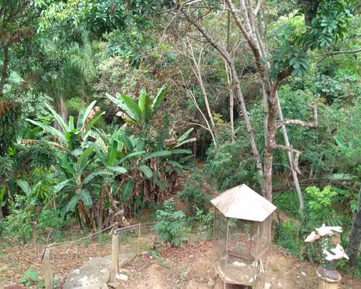 Sítio à venda em Jardim serra azul, Juatuba cod:ST00028 - Foto 11