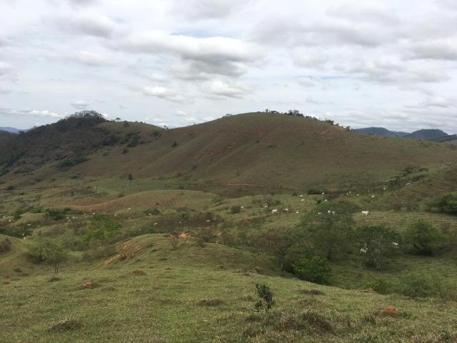 Venda-se está fazenda de 250 alqueires no Município de Fervedouro/MG - Foto 11