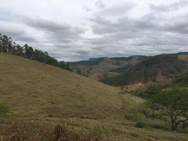 Venda-se está fazenda de 250 alqueires no Município de Fervedouro/MG - Foto 8