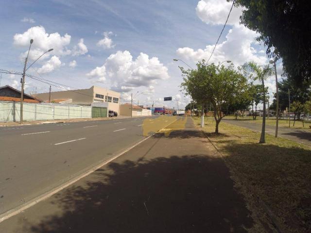 Sala para alugar, 23 m² por r$ 1.100/mês - jardim américa - rio claro/sp - Foto 4