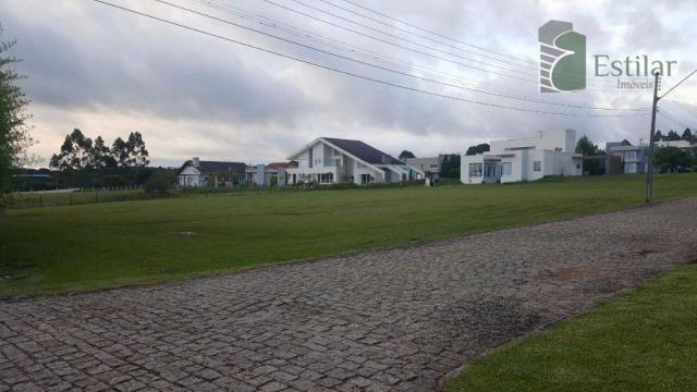 Terreno 15 minutos do centro de são josé dos pinhais. - Foto 8