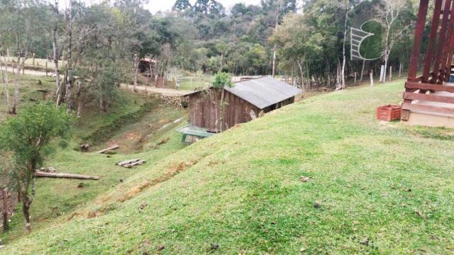 Chácara na colônia murici (são josé dos pinhais) - distrito. - Foto 11