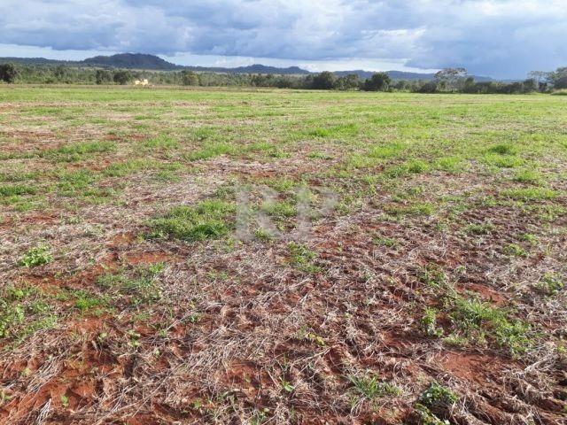 Fazenda 2006 Hectares em Tocantis