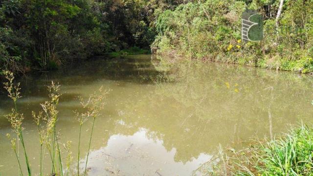 Chácara no campo largo da roseira, são josé dos pinhais. - Foto 20