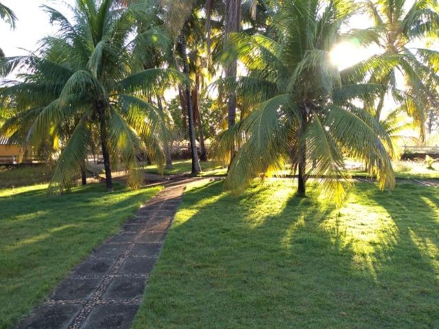 Excelente Fazenda de 1.955,79 Hectares em Formosa-GO - Foto 17