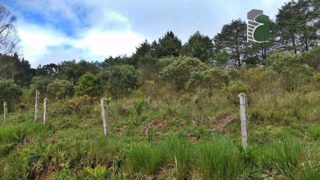 Chácara no curralinho em são josé dos pinhais. - Foto 18