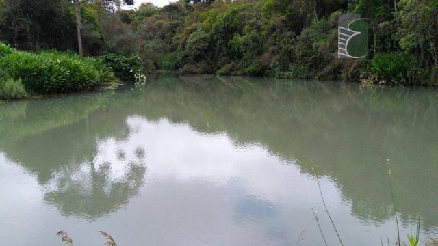 Chácara no campo largo da roseira, são josé dos pinhais. - Foto 8
