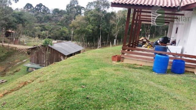 Chácara na colônia murici (são josé dos pinhais) - distrito. - Foto 12