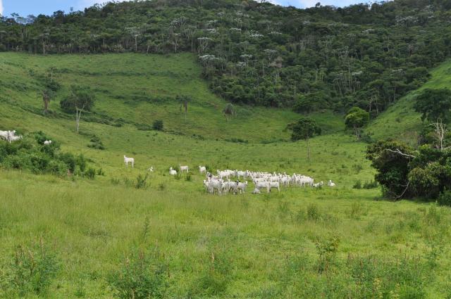 Vendo Fazenda com 1.110 alqueires Localizada em Teófilo Otoni-Mg - Foto 10