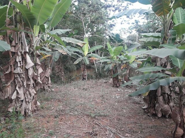 Vendo chácara na serra - Foto 12