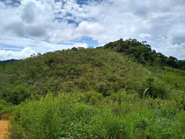 Sítio Viana meia legue 5 alqueires - Foto 4