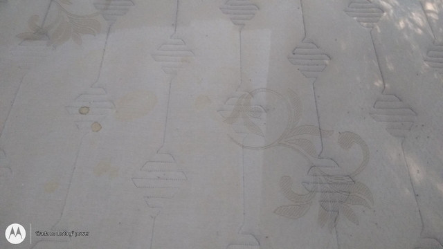Faxineira e limpeza de estofado com extratora - Foto 2