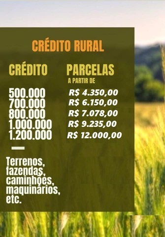 Crédito Rural (Investimentos, Maquinarios, Terras) - Foto 2