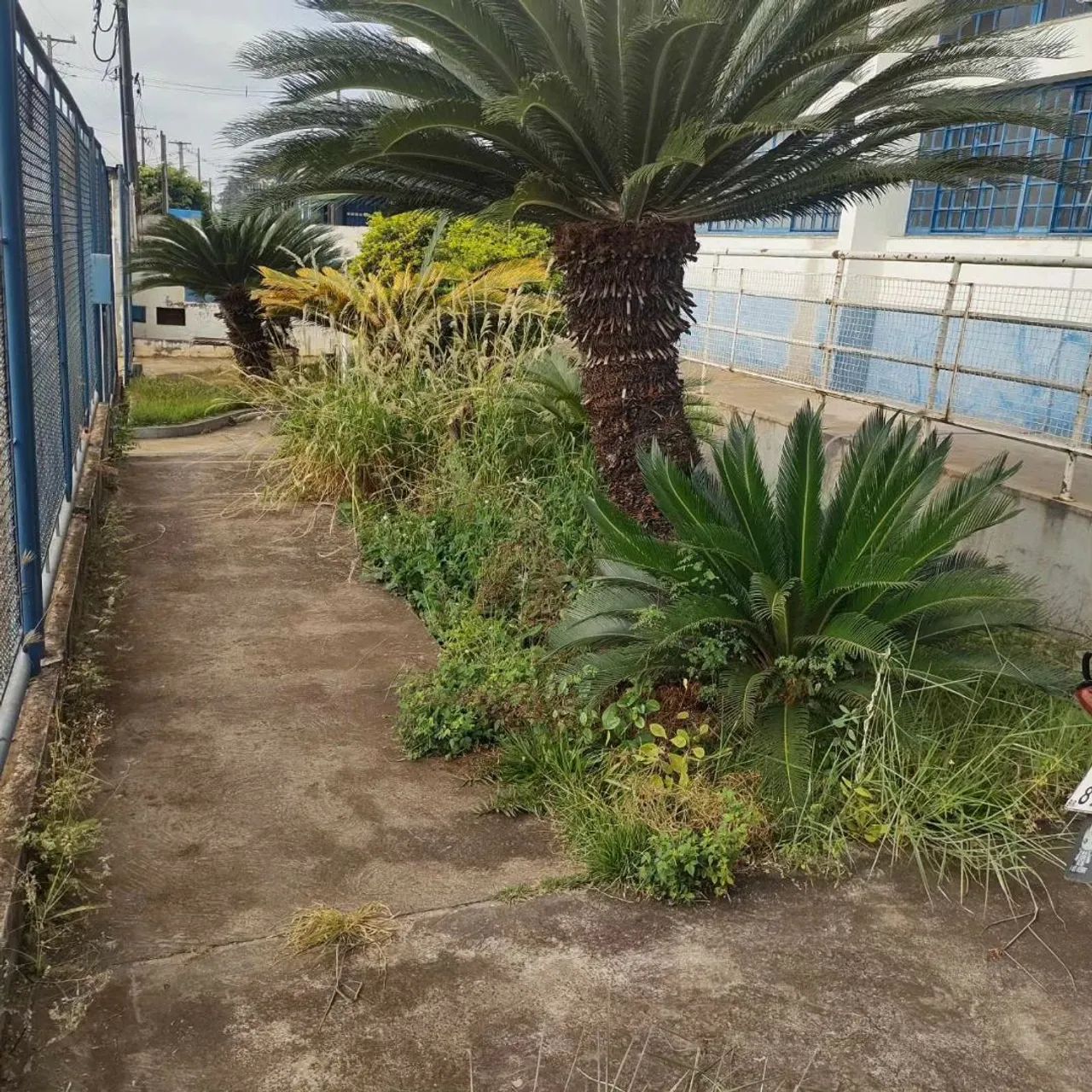Jardineiro  - Foto 5