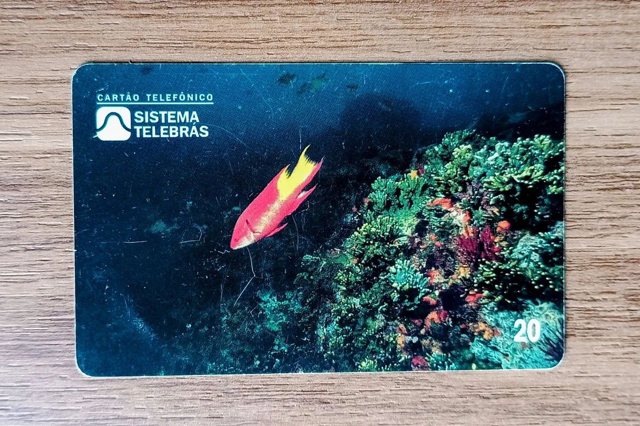 Cartão Telefônico Colecionável Budião 