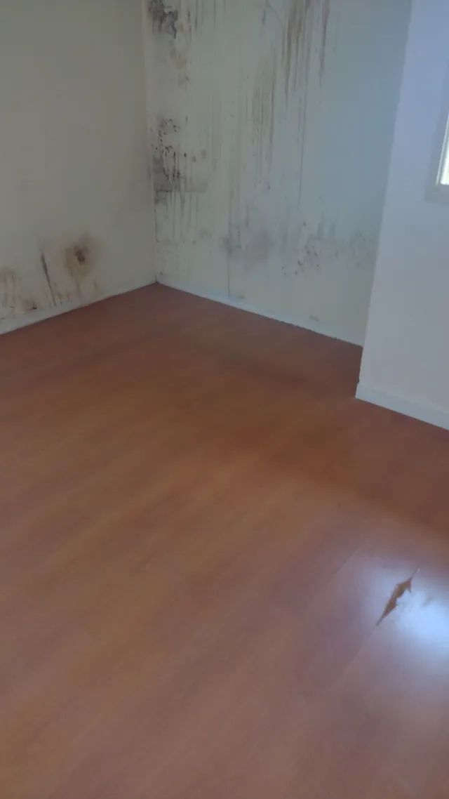 instalação piso laminado e vinílico  - Foto 3