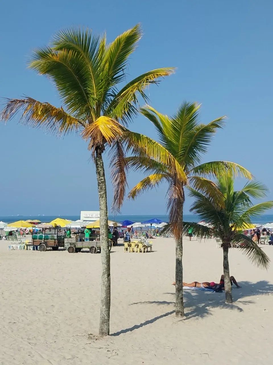 *****STUDIO PÉ NA AREIA e VISTA MAR - OCIAN -PG***** - Foto 12