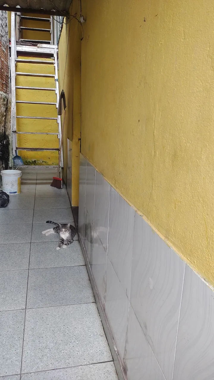 Casa pra sair do aluguel e a ter renda.