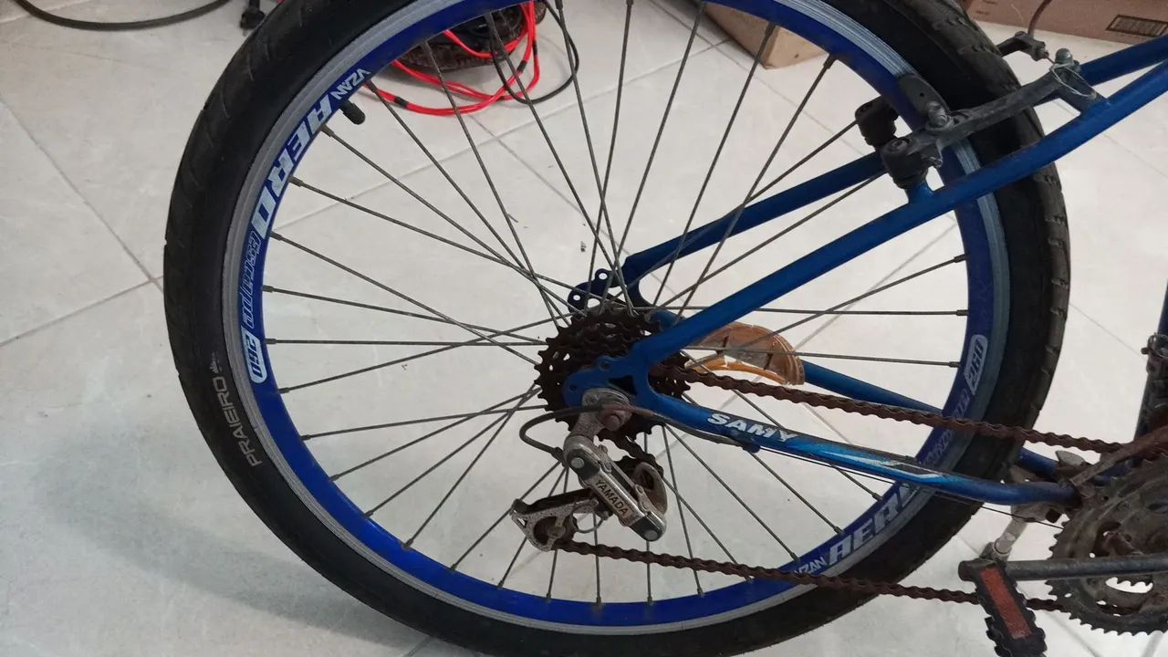 Bicicleta Samy - Foto 3