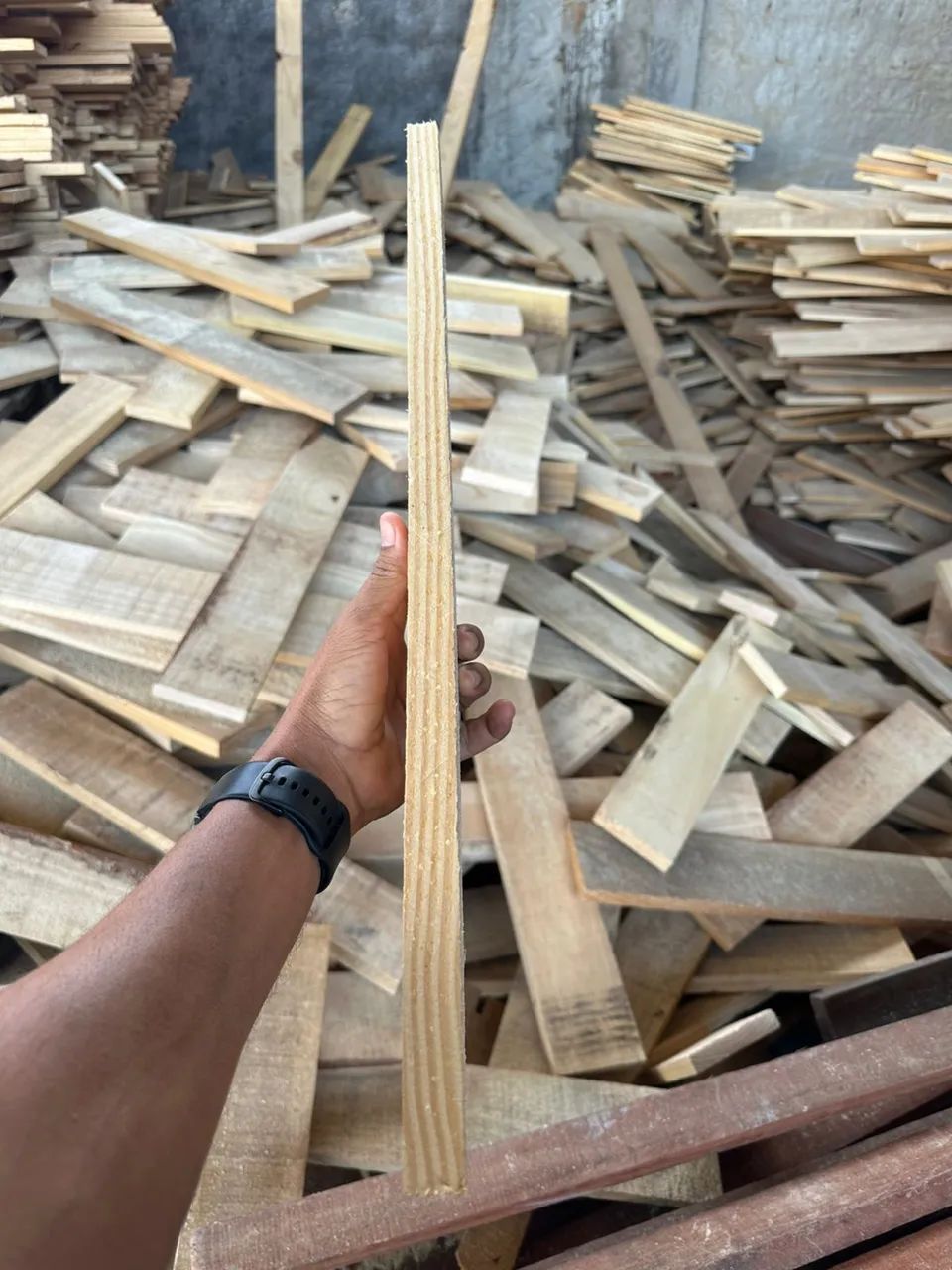 5 mil Pedaços de madeiras Pinus por 3.000,00