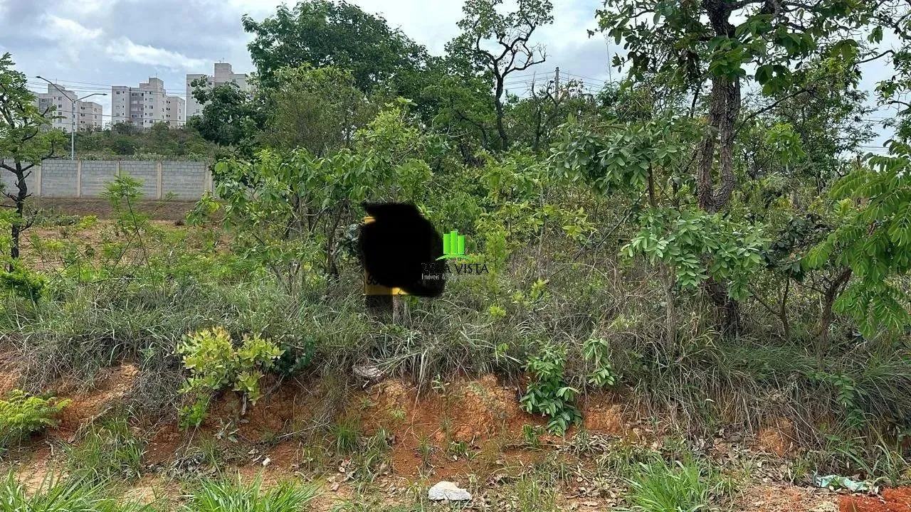 Lotes em Condomínio em Mariposas.