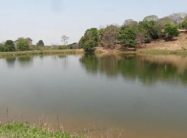 Fazenda de 246 hectares (51 alqueires) - Foto 2