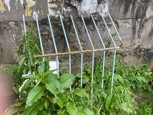 Grades64330306497795122