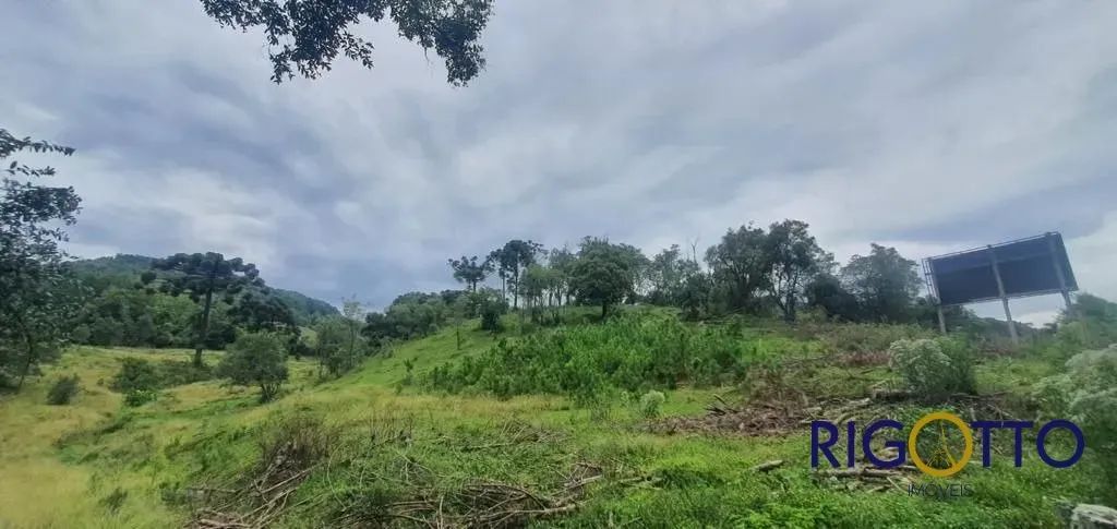Área Bairro Área Rural - Foto 4