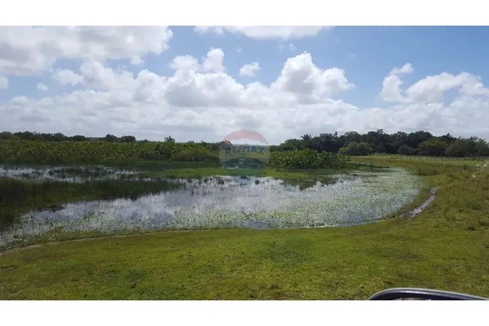 TERRENO (Fazenda em Piaçabuçu, AL - 687 ha) - Foto 6