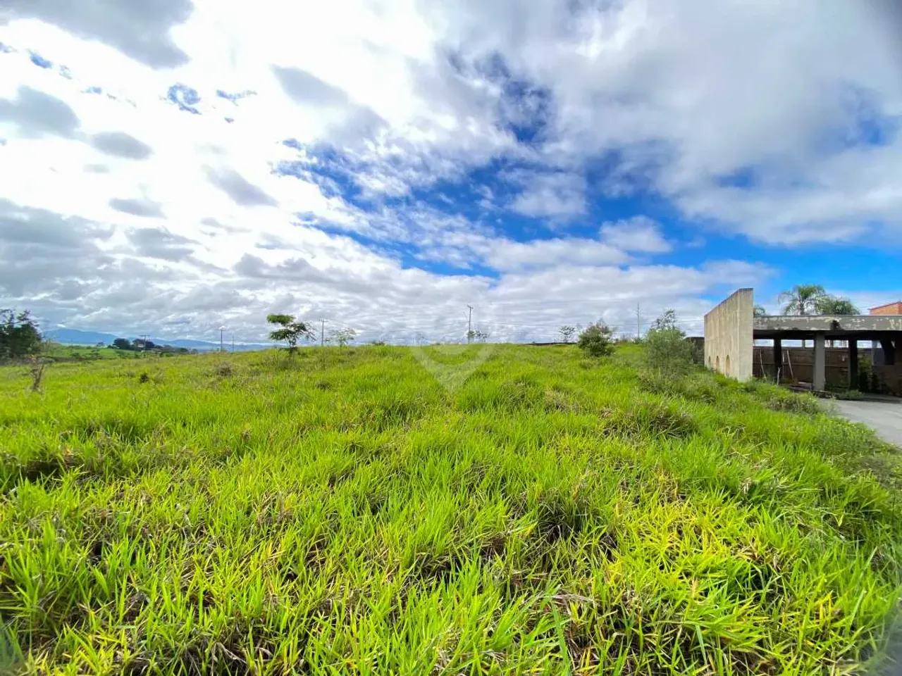 Terreno-À VENDA-Bela Vista Tuiuti-Tuiuti-SP