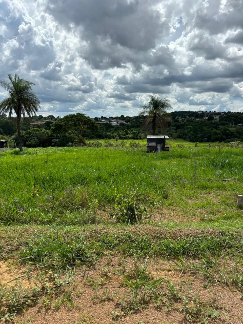 Lote 10x30  - Foto 5