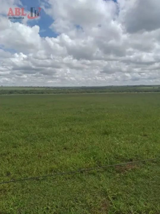 Fazenda para Venda em Centro Junqueirópolis-SP - Foto 3