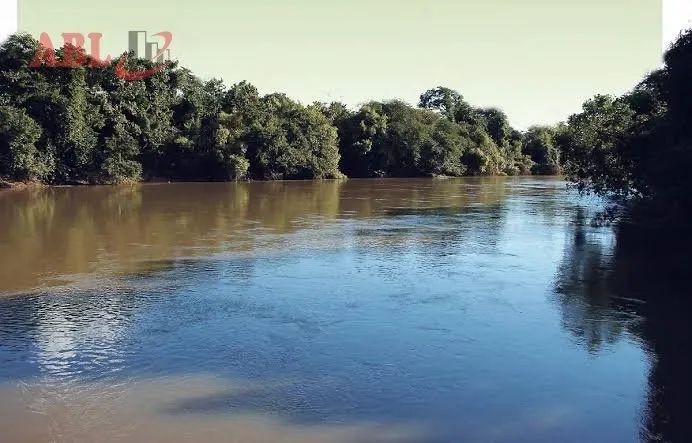 Fazenda para Venda em Centro Junqueirópolis-SP - Foto 4