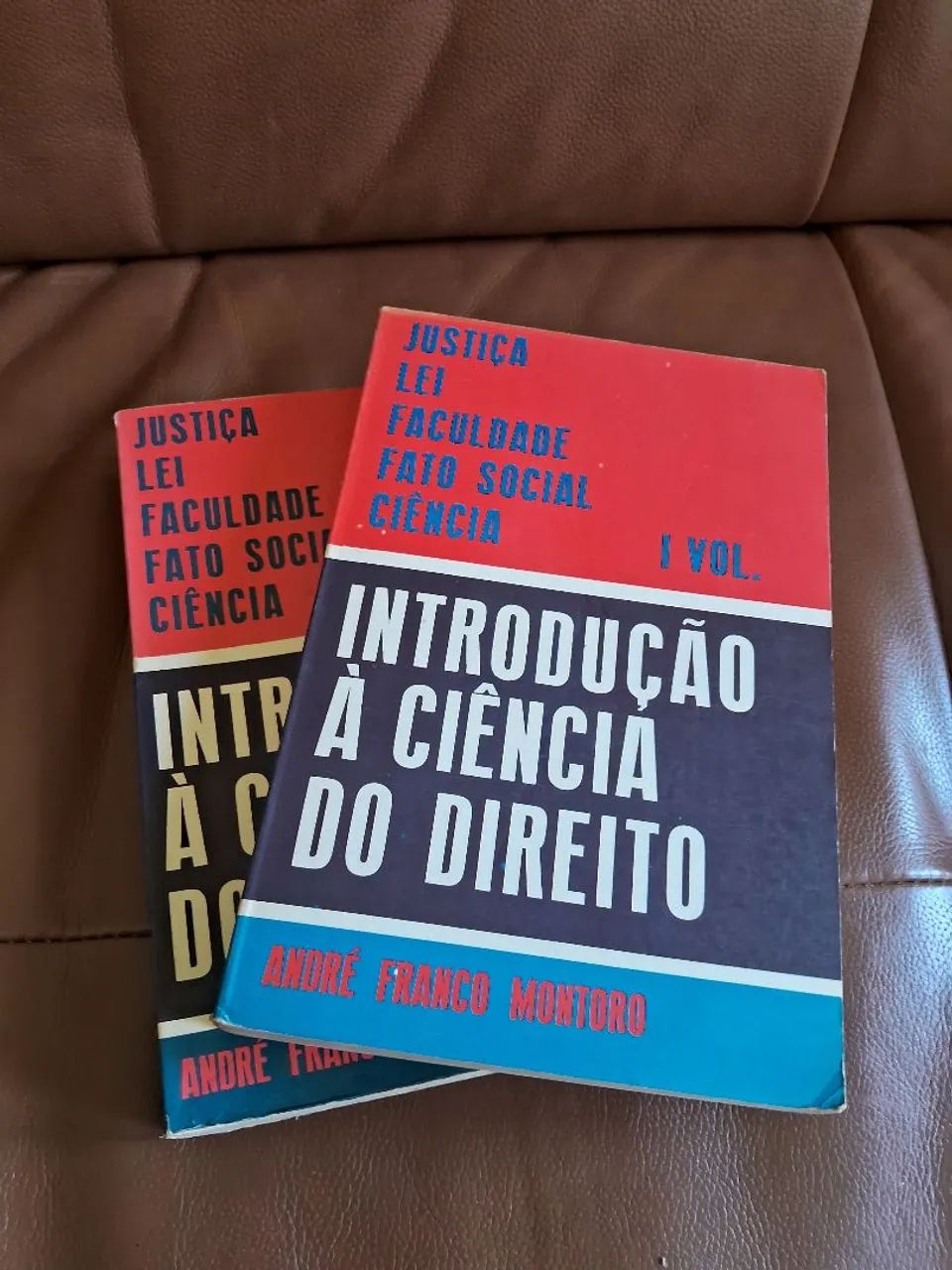Livro Introdução a ciência do direito - Foto 2