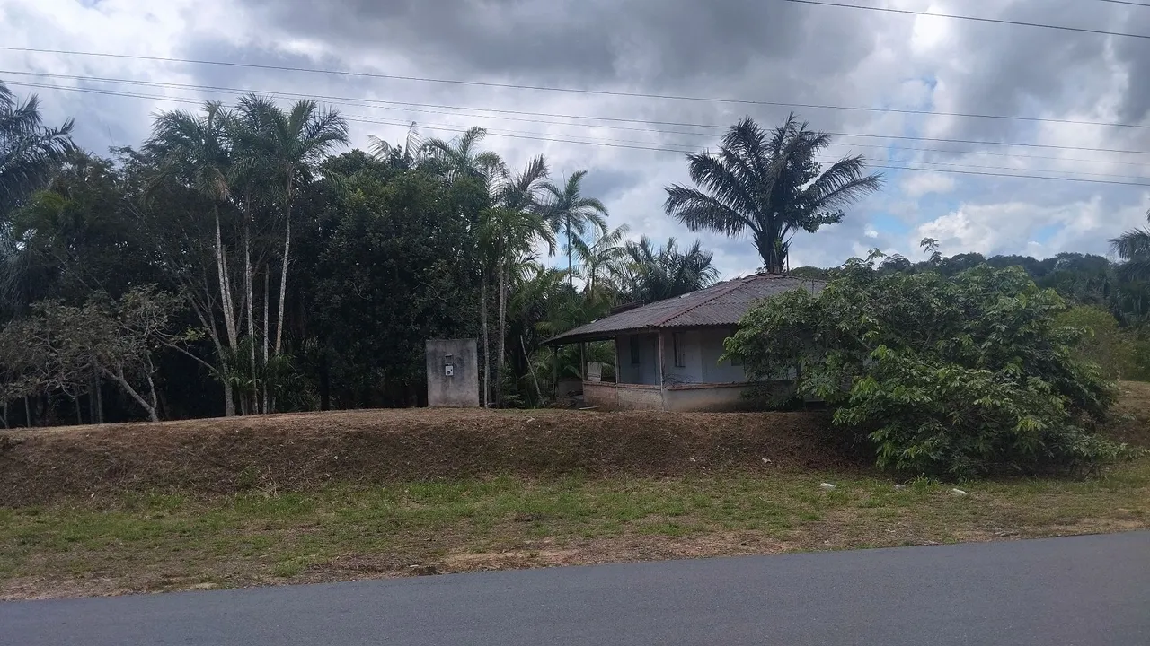 Vendo sítio que com duas casas uma na entrada e outra no meio do sítio, na beira da pista