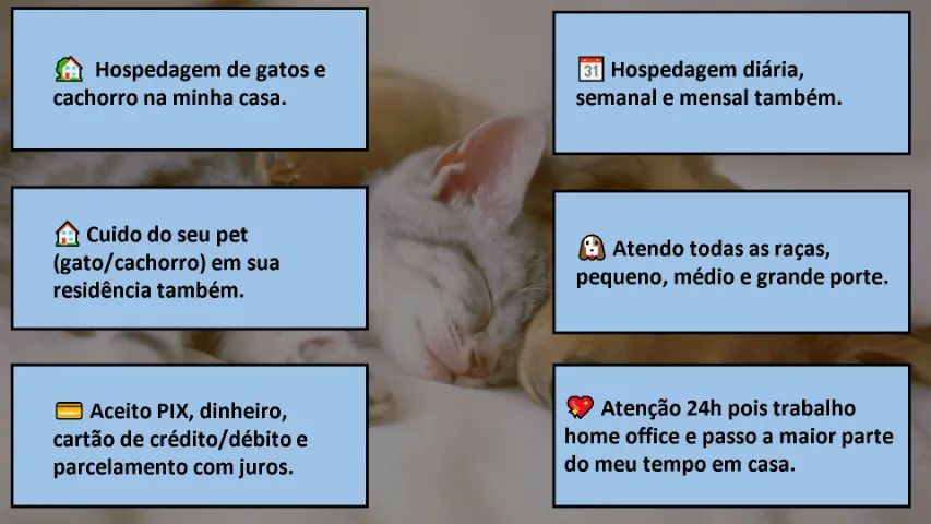 Hospedagem de Pet (Pet Sitter) - Próximo ao NorteShopping - Foto 2