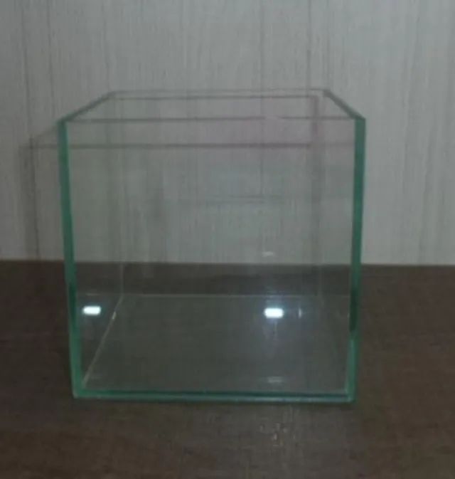 Pequeno Aquário Para Peixe Beta. - Foto 3