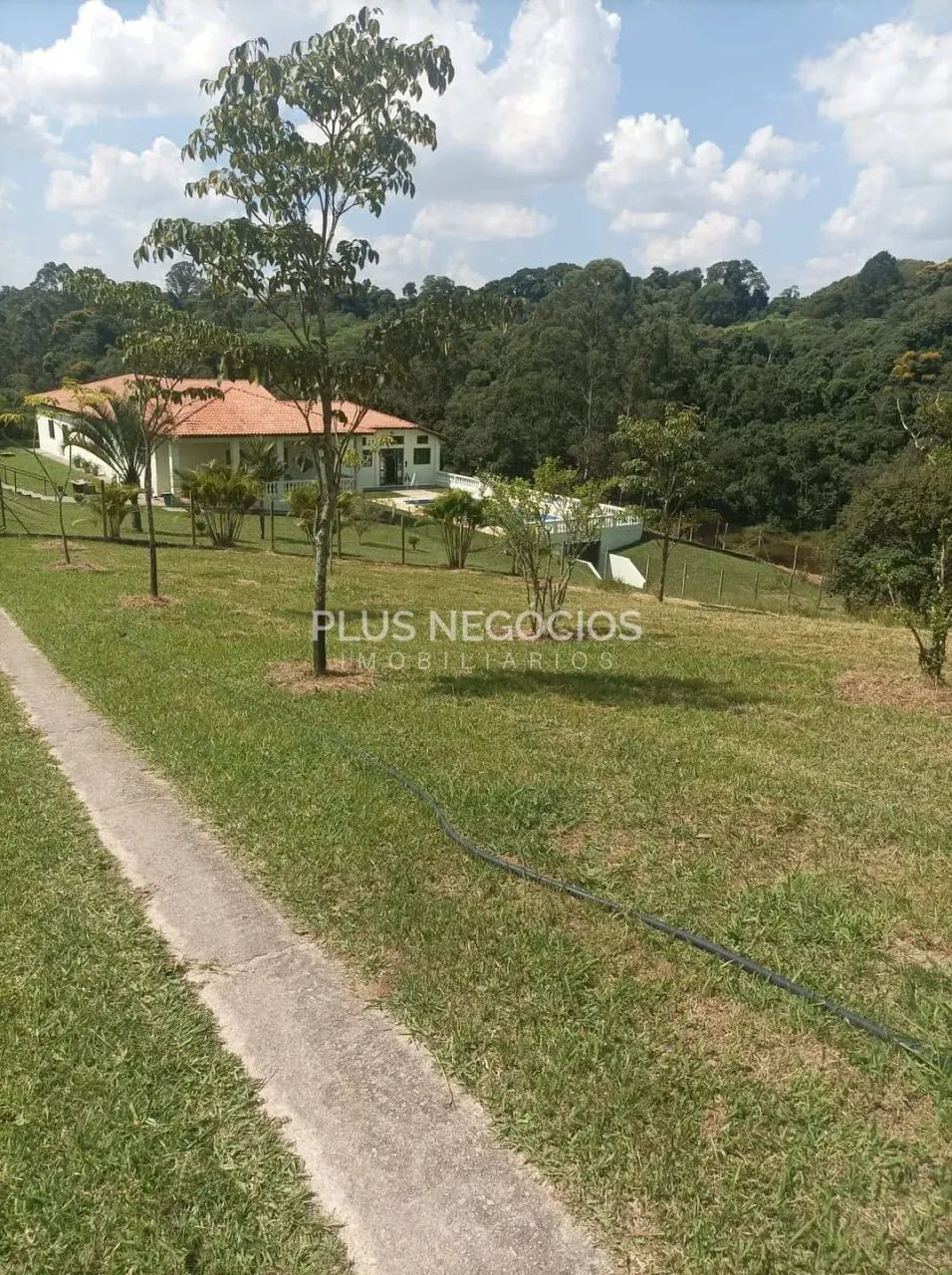 Sítio à venda | morro grande, Ibiúna, SP | 60.000m² - Foto 2