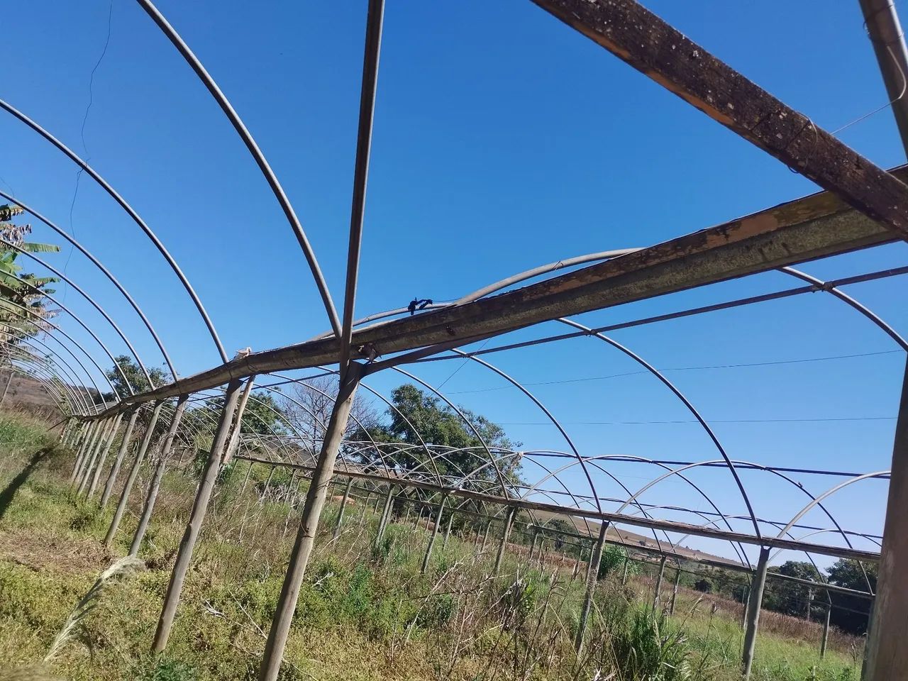 Estufas articuladas