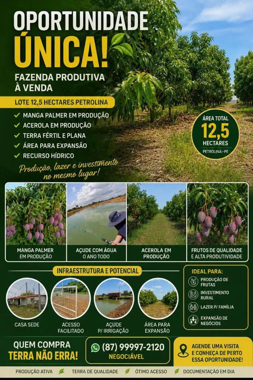 Propriedade geradora de renda comprovada Petrolina!