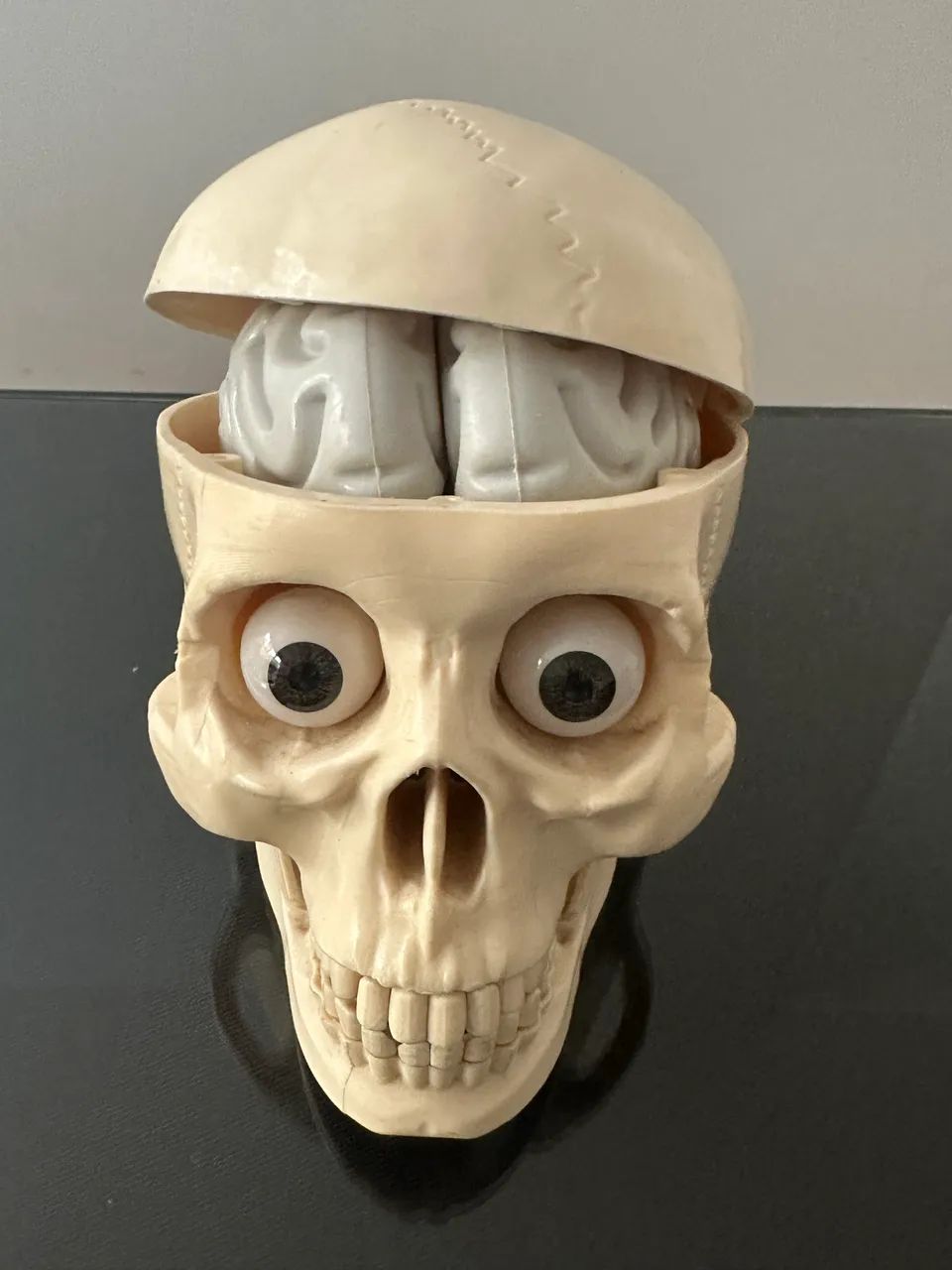 Caveira Crânio Salvat - Foto 2