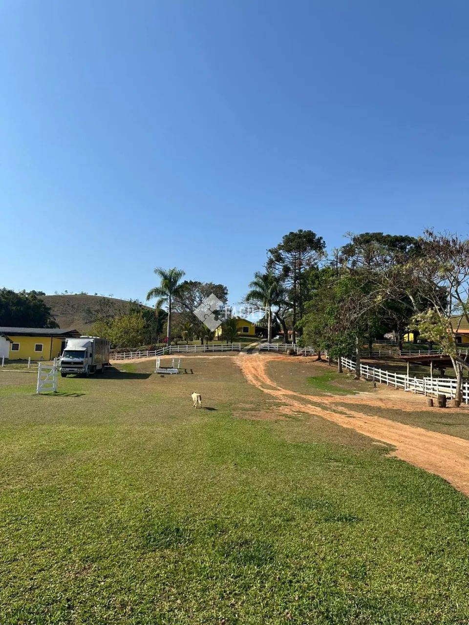 Haras em Lagoinha - SP - Foto 4
