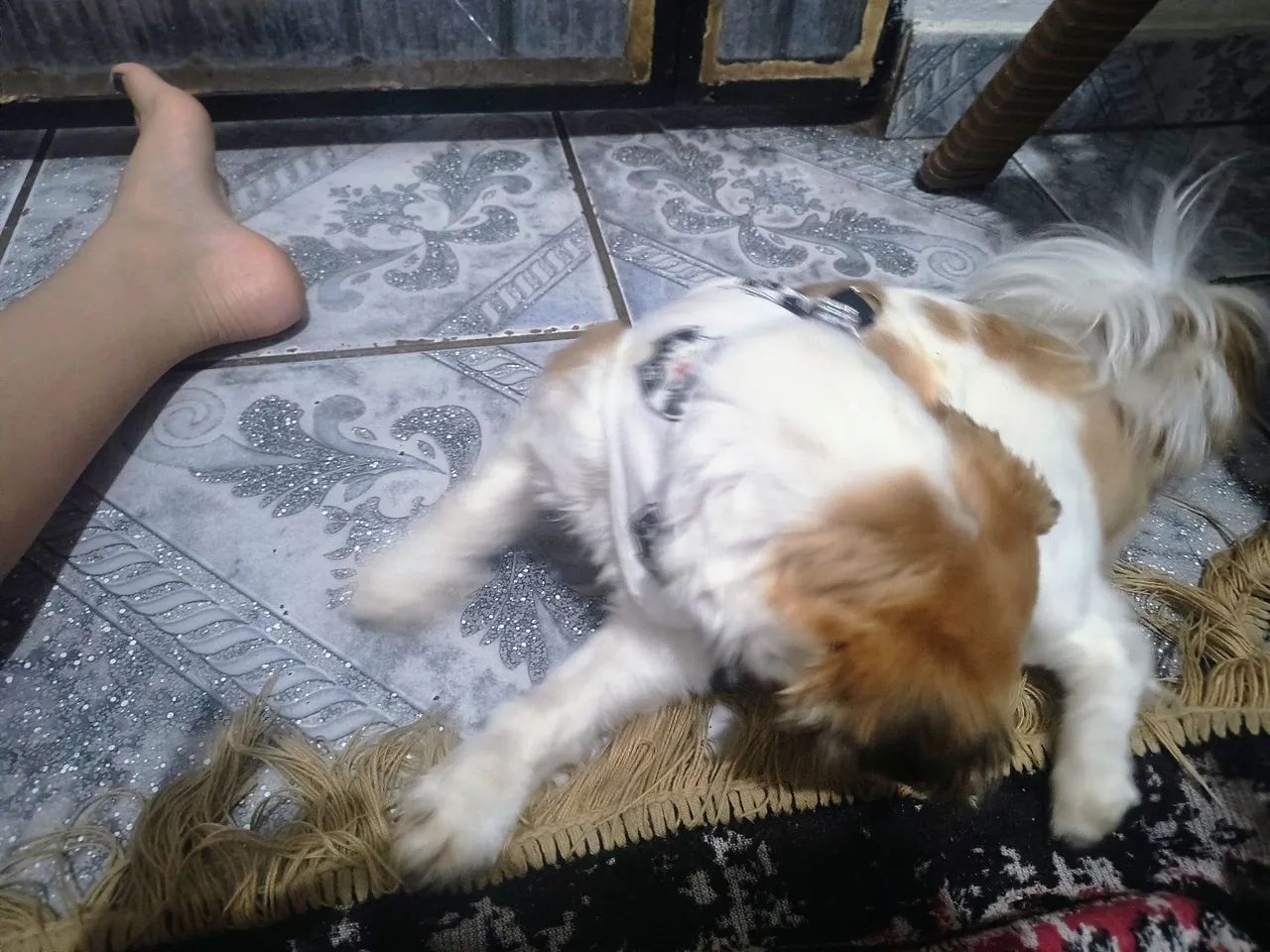 A procura de uma namorada  - Foto 2