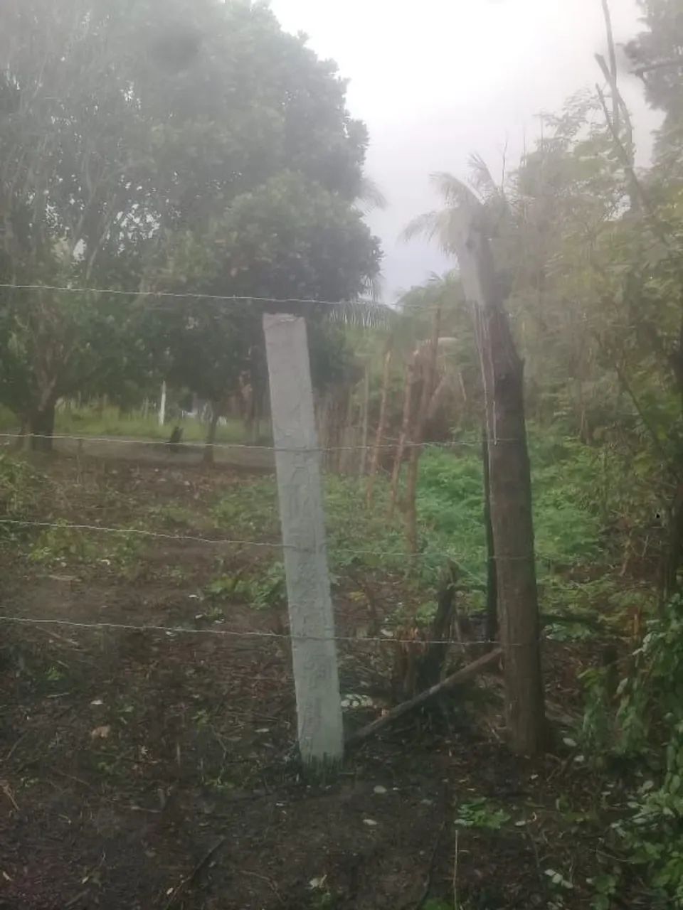 Terreno em Itamaracá - Bela Vista - Foto 4