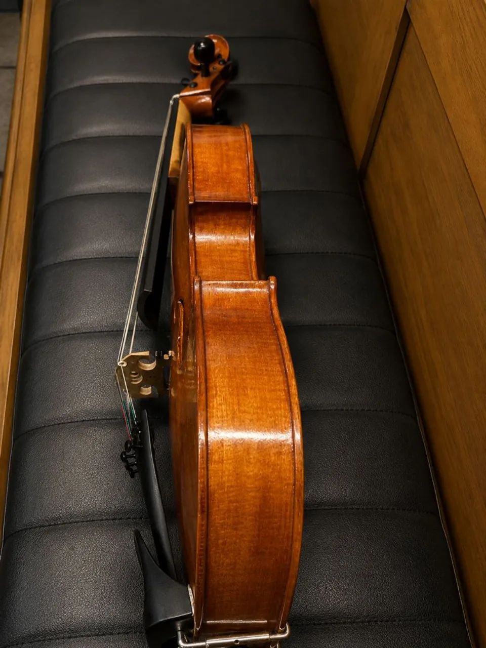 Viola - Foto 3
