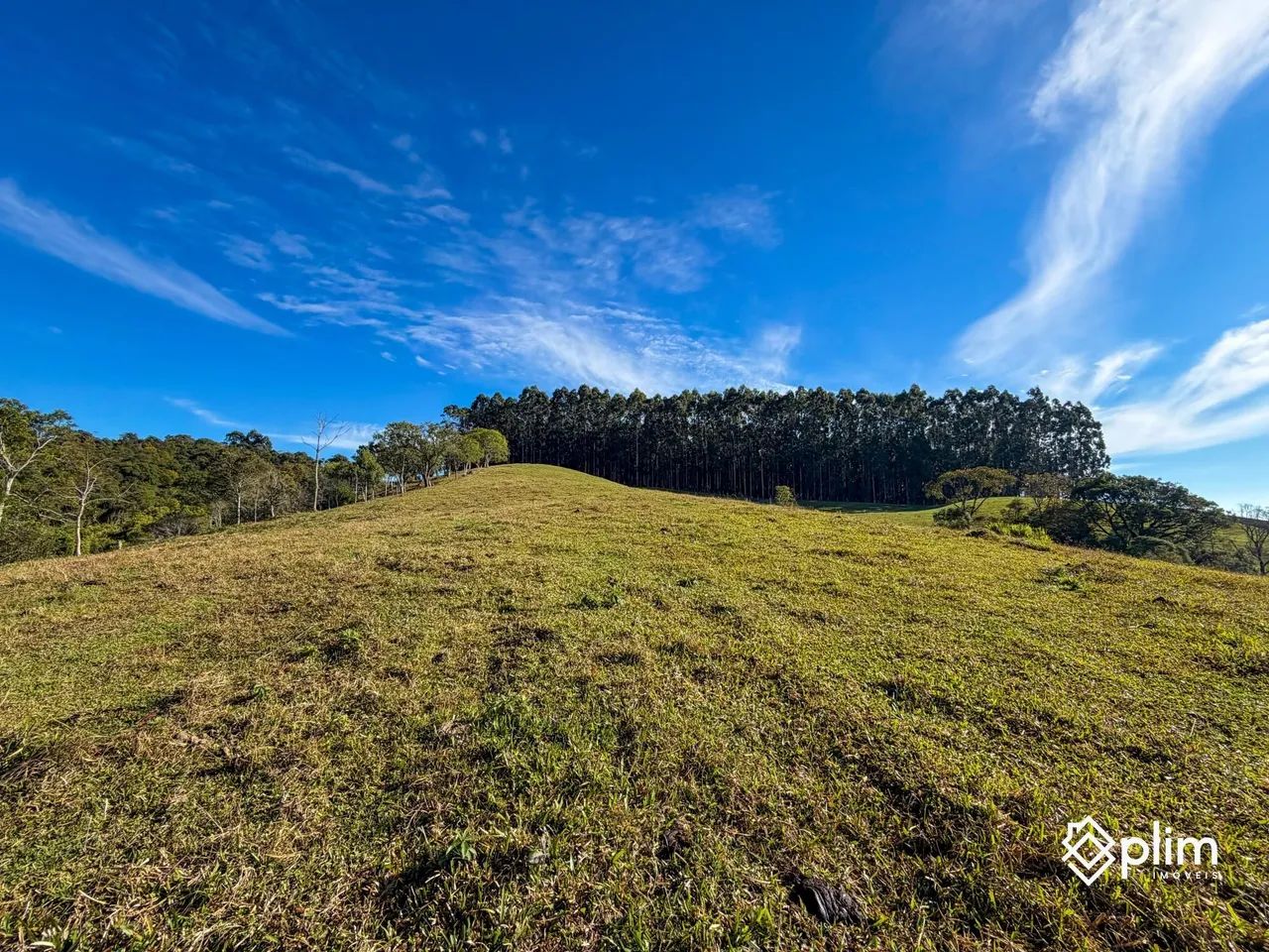 Terreno de 2,1 hectares com vista entre Bom Retiro e Alfredo Wagner  SC - Foto 4