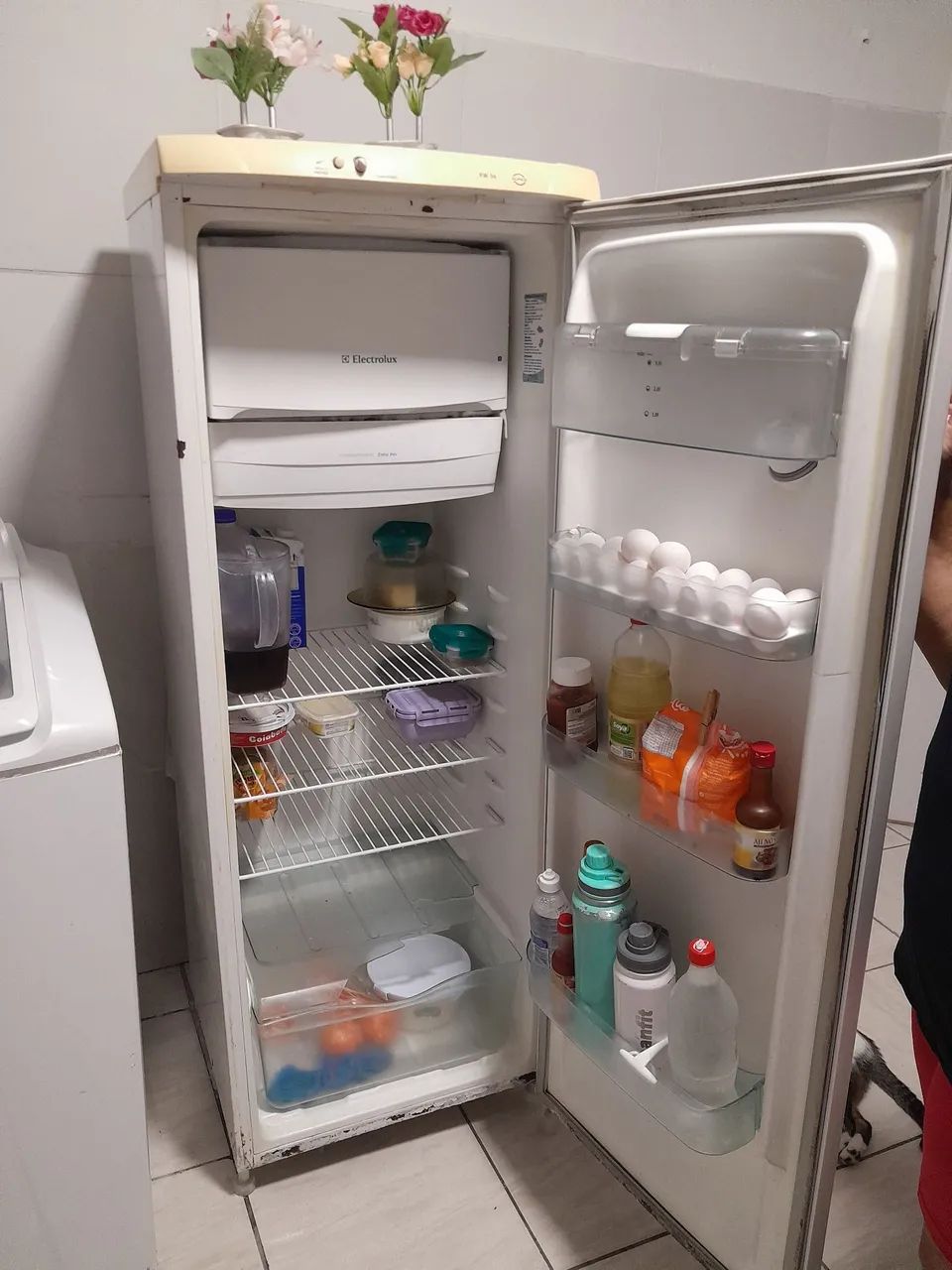 Geladeira  - Foto 2